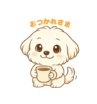 マルチーズくん（個別スタンプ：13）