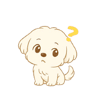 マルチーズくん（個別スタンプ：14）