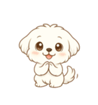 マルチーズくん（個別スタンプ：16）