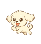マルチーズくん（個別スタンプ：17）