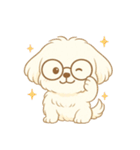 マルチーズくん（個別スタンプ：24）