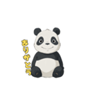 もっちりパンダの毎日（個別スタンプ：3）