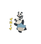 もっちりパンダの毎日（個別スタンプ：12）
