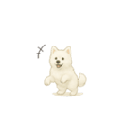 ずっと使えるサモエドスタンプ（個別スタンプ：6）