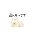 ずっと使えるサモエドスタンプ（個別スタンプ：11）