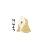 ずっと使えるサモエドスタンプ（個別スタンプ：15）