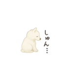 ずっと使えるサモエドスタンプ（個別スタンプ：18）