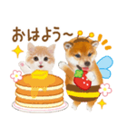 シバたん❤️モグいちご❤️かわいい犬＆猫（個別スタンプ：1）