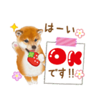 シバたん❤️モグいちご❤️かわいい犬＆猫（個別スタンプ：2）