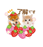 シバたん❤️モグいちご❤️かわいい犬＆猫（個別スタンプ：4）