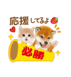 シバたん❤️モグいちご❤️かわいい犬＆猫（個別スタンプ：6）