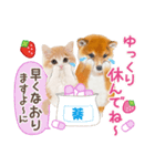 シバたん❤️モグいちご❤️かわいい犬＆猫（個別スタンプ：21）