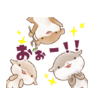 かわうそんキャンプたのしい：01（個別スタンプ：20）