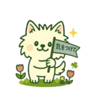 しろいぬ ごあいさつスタンプ（個別スタンプ：12）