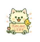 しろいぬ ごあいさつスタンプ（個別スタンプ：14）