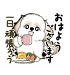 New シーズー犬 2025 「いつも使う言葉」（個別スタンプ：1）