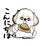 New シーズー犬 2025 「いつも使う言葉」（個別スタンプ：2）
