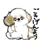 New シーズー犬 2025 「いつも使う言葉」（個別スタンプ：3）