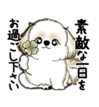 New シーズー犬 2025 「いつも使う言葉」（個別スタンプ：4）
