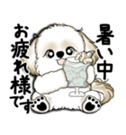 New シーズー犬 2025 「いつも使う言葉」（個別スタンプ：5）
