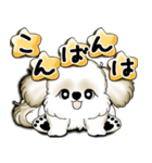 New シーズー犬 2025 「いつも使う言葉」（個別スタンプ：6）