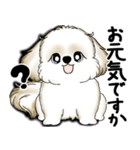 New シーズー犬 2025 「いつも使う言葉」（個別スタンプ：7）