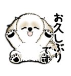 New シーズー犬 2025 「いつも使う言葉」（個別スタンプ：8）