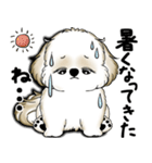 New シーズー犬 2025 「いつも使う言葉」（個別スタンプ：10）