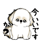 New シーズー犬 2025 「いつも使う言葉」（個別スタンプ：11）