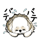 New シーズー犬 2025 「いつも使う言葉」（個別スタンプ：12）