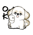 New シーズー犬 2025 「いつも使う言葉」（個別スタンプ：14）