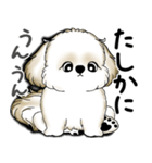 New シーズー犬 2025 「いつも使う言葉」（個別スタンプ：15）