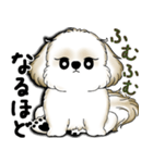 New シーズー犬 2025 「いつも使う言葉」（個別スタンプ：16）