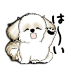 New シーズー犬 2025 「いつも使う言葉」（個別スタンプ：18）