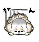 New シーズー犬 2025 「いつも使う言葉」（個別スタンプ：19）