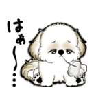 New シーズー犬 2025 「いつも使う言葉」（個別スタンプ：20）