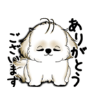 New シーズー犬 2025 「いつも使う言葉」（個別スタンプ：21）