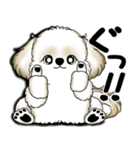 New シーズー犬 2025 「いつも使う言葉」（個別スタンプ：22）