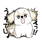 New シーズー犬 2025 「いつも使う言葉」（個別スタンプ：23）