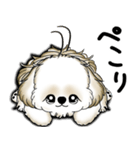 New シーズー犬 2025 「いつも使う言葉」（個別スタンプ：25）