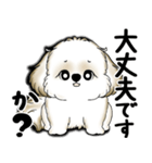 New シーズー犬 2025 「いつも使う言葉」（個別スタンプ：26）
