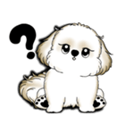 New シーズー犬 2025 「いつも使う言葉」（個別スタンプ：27）