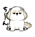 New シーズー犬 2025 「いつも使う言葉」（個別スタンプ：28）