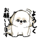 New シーズー犬 2025 「いつも使う言葉」（個別スタンプ：29）