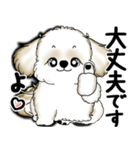 New シーズー犬 2025 「いつも使う言葉」（個別スタンプ：30）