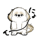 New シーズー犬 2025 「いつも使う言葉」（個別スタンプ：31）