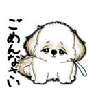 New シーズー犬 2025 「いつも使う言葉」（個別スタンプ：32）