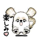 New シーズー犬 2025 「いつも使う言葉」（個別スタンプ：34）