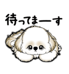 New シーズー犬 2025 「いつも使う言葉」（個別スタンプ：36）