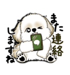 New シーズー犬 2025 「いつも使う言葉」（個別スタンプ：38）